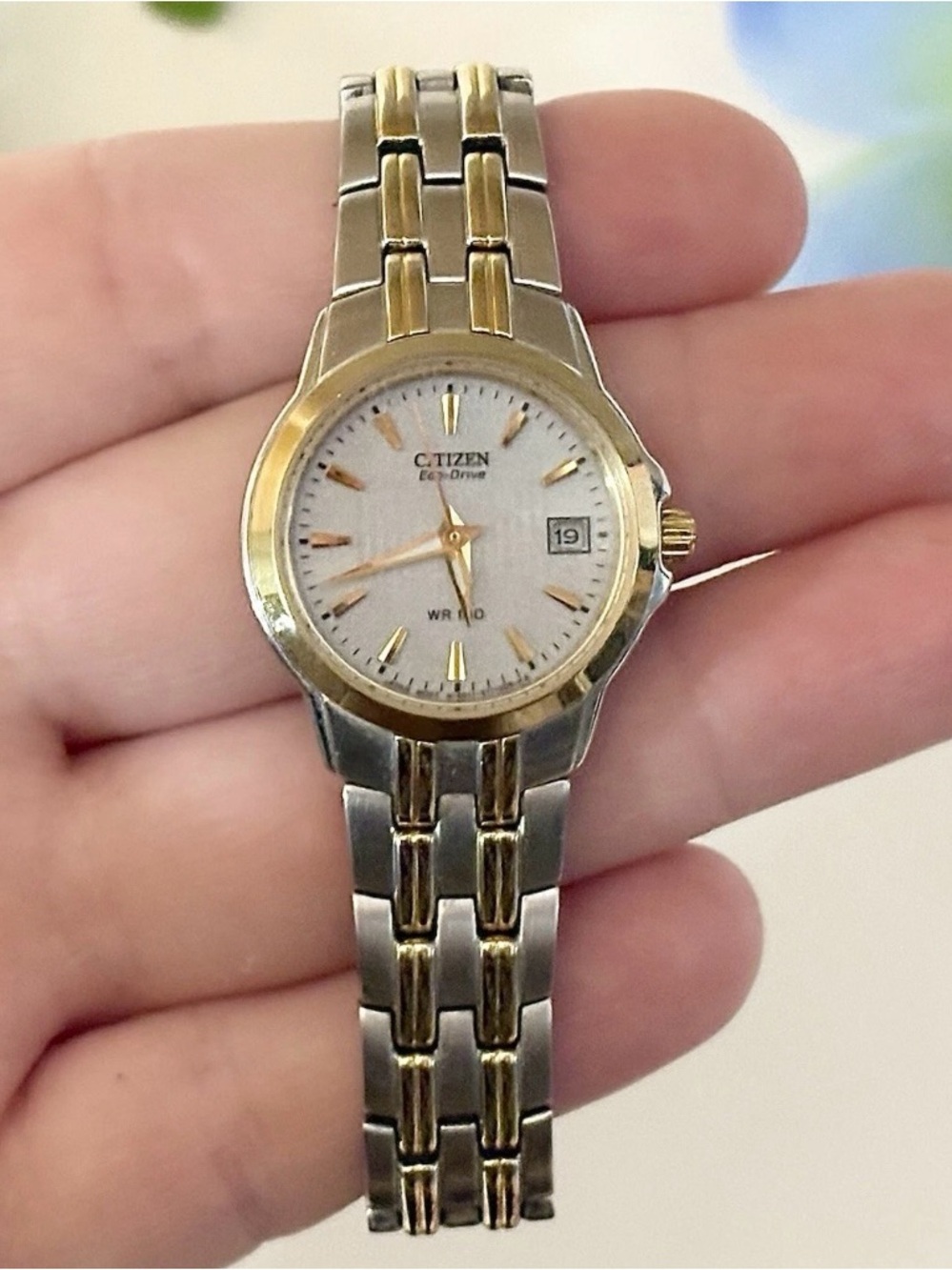 Citizen Eco-Drive Corso Women's Two-Tone Day/Date Grey Metallic Bracelet Watch